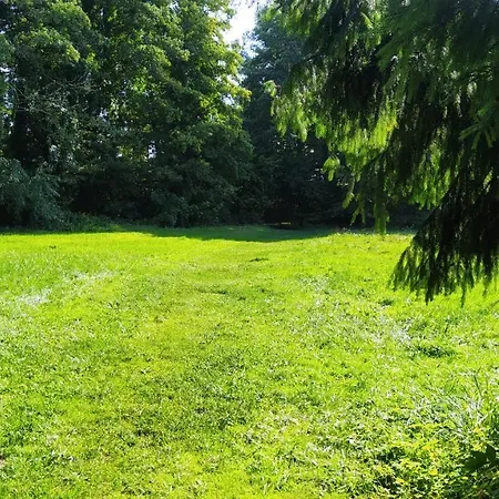 Koinonia Мронгово